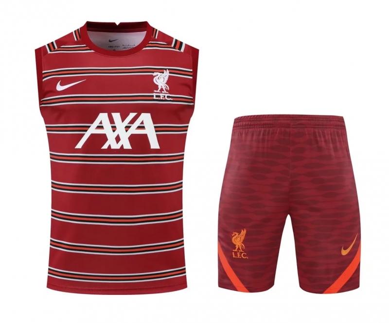 Liverpool Training Jersey 2021/22 Authentic Pre-Match Nike